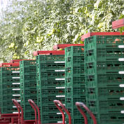 Nace la asociación ARECO para promover los envases reutilizables, que permiten ahorrar recursos y fomentar la sostenibilidad