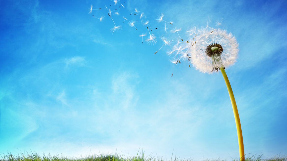 Los envases reutilizables consumen un 43% menos de energía que las cajas de cartón de un solo uso